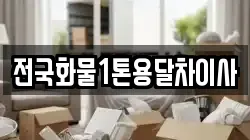 전국화물1톤용달차이사