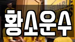황소운수