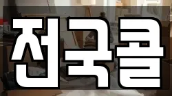 전국콜