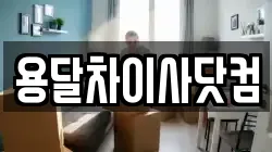 용달차이사닷컴