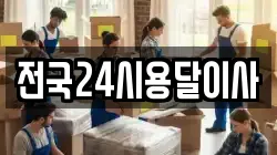 전국24시용달이사