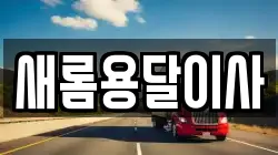 새롬용달이사