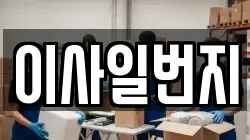 이사일번지