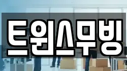 트윈스무빙