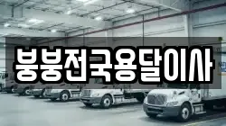붕붕전국용달이사