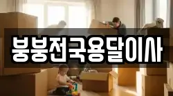 붕붕전국용달이사
