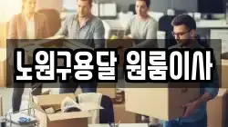 노원구용달 원룸이사