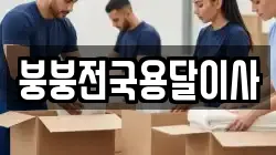 붕붕전국용달이사