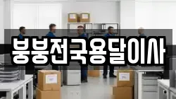 붕붕전국용달이사