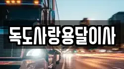 독도사랑용달이사