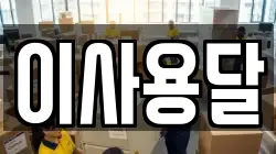 이사용달