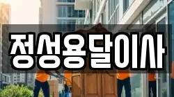 정성용달이사