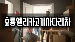 효룡엘리카고가사다리차