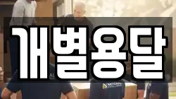 개별용달