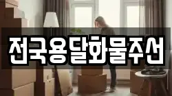 전국용달화물주선