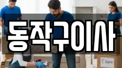 동작구이사