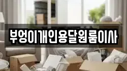 부엉이개인용달원룸이사