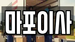 마포이사