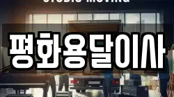 평화용달이사