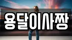 용달이사짱