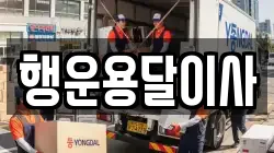행운용달이사