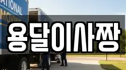 용달이사짱
