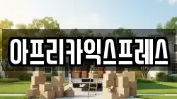 아프리카익스프레스