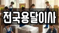 전국용달이사