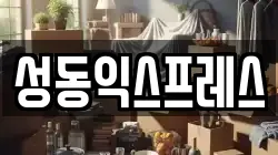 성동익스프레스