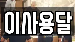 이사용달