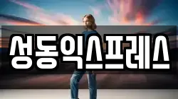 서울 성동구 행당동 이사,포장이사,반포장이사,원룸이사,사무실이사,용달이사,전국이사,보관이사