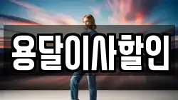 용달이사할인