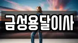 금성용달이사