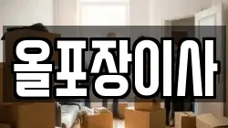 올포장이사