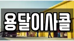 용달이사콜