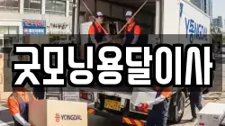 굿모닝용달이사