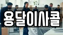 용달이사콜