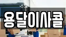 용달이사콜