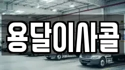 용달이사콜