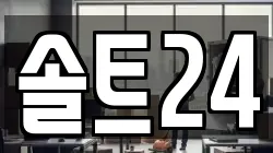 솔트24