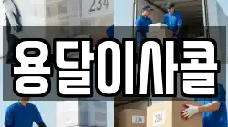 용달이사콜