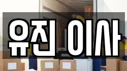 서울 성북구 성북동 이사,포장이사,반포장이사,원룸이사,사무실이사,용달이사,전국이사,보관이사