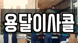 용달이사콜