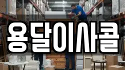 용달이사콜