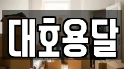 서울 성북구 안암동5가 이사,포장이사,반포장이사,원룸이사,사무실이사,용달이사,전국이사,보관이사