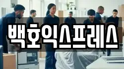 백호익스프레스