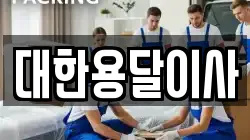 대한용달이사