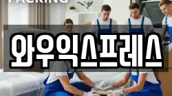 와우익스프레스