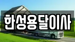 한성용달이사