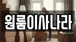 원룸이사나라